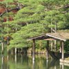 Tokyo_Rikugien_Park_21